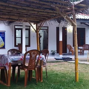 https://colombo-airport-transit-villa-butterfly-stay-guesthouse.negombohotels.net